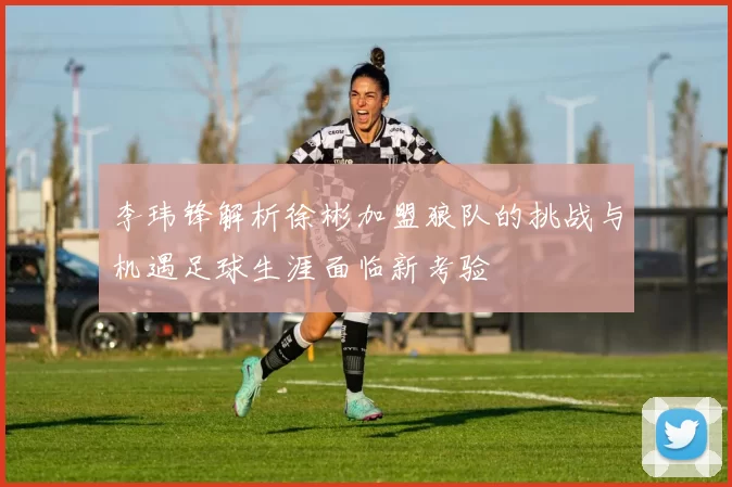李玮锋解析徐彬加盟狼队的挑战与机遇足球生涯面临新考验