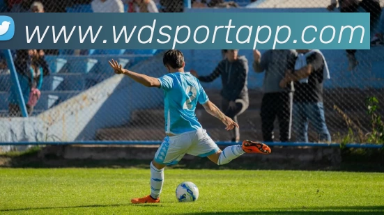 韦德体育APP平台生态图