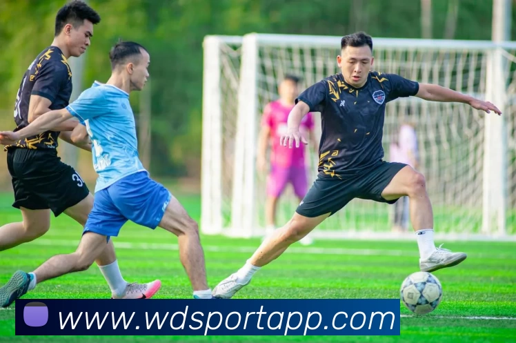 韦德体育APPAPP 封面图